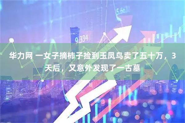 华力网 一女子摘柿子捡到玉凤鸟卖了五十万，3天后，又意外发现了一古墓