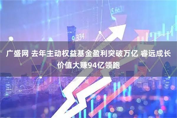 广盛网 去年主动权益基金盈利突破万亿 睿远成长价值大赚94亿领跑