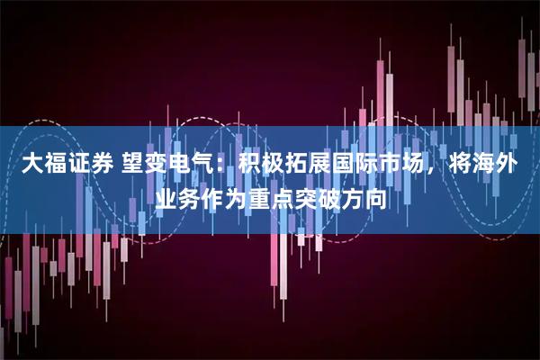 大福证券 望变电气：积极拓展国际市场，将海外业务作为重点突破方向