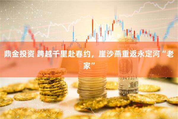 鼎金投资 跨越千里赴春约，崖沙燕重返永定河“老家”