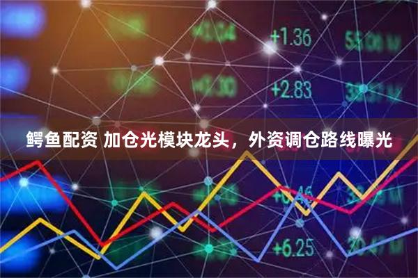 鳄鱼配资 加仓光模块龙头，外资调仓路线曝光