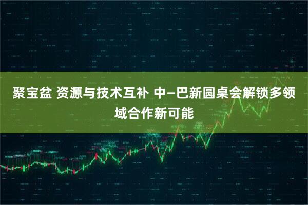 聚宝盆 资源与技术互补 中—巴新圆桌会解锁多领域合作新可能