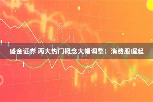 盛金证券 两大热门概念大幅调整！消费股崛起
