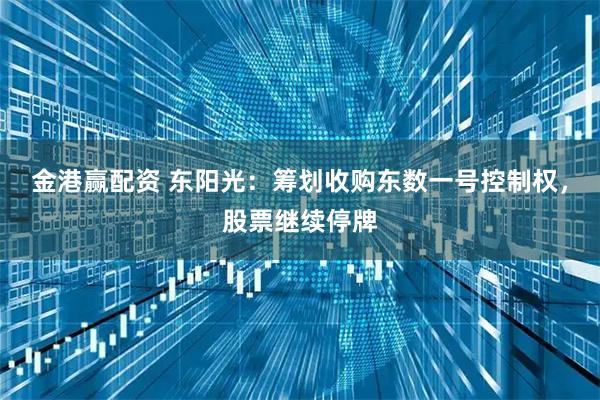 金港赢配资 东阳光：筹划收购东数一号控制权，股票继续停牌