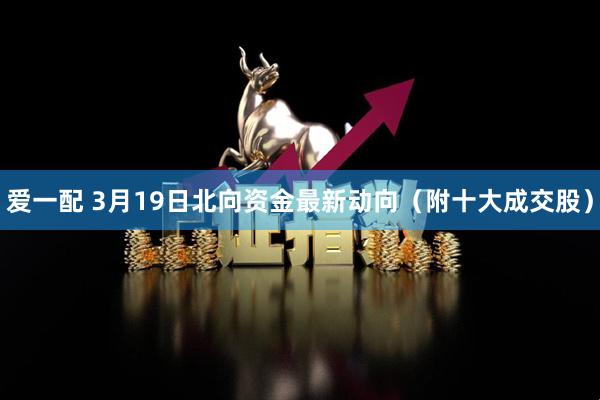 爱一配 3月19日北向资金最新动向（附十大成交股）