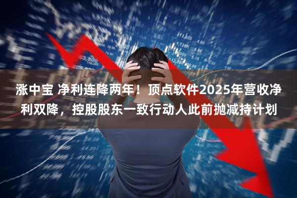 涨中宝 净利连降两年！顶点软件2025年营收净利双降，控股股东一致行动人此前抛减持计划