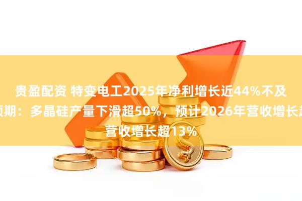 贵盈配资 特变电工2025年净利增长近44%不及机构预期：多晶硅产量下滑超50%，预计2026年营收增长超13%