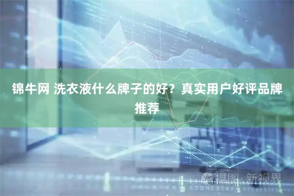 锦牛网 洗衣液什么牌子的好？真实用户好评品牌推荐