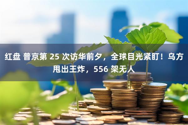 红盘 普京第 25 次访华前夕，全球目光紧盯！乌方甩出王炸，556 架无人