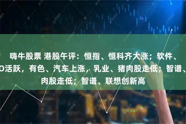 嗨牛股票 港股午评：恒指、恒科齐大涨；软件、半导体、CPO活跃，有色、汽车上涨，乳业、猪肉股走低；智谱、联想创新高
