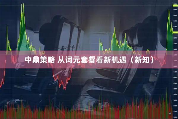 中鼎策略 从词元套餐看新机遇（新知）