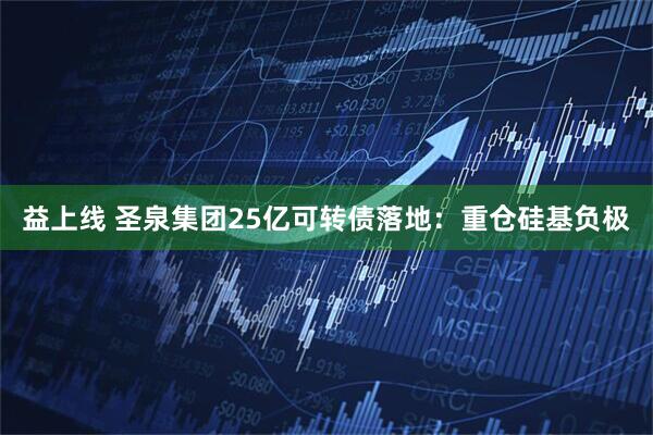 益上线 圣泉集团25亿可转债落地：重仓硅基负极