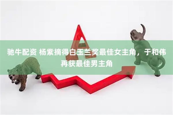 驰牛配资 杨紫摘得白玉兰奖最佳女主角，于和伟再获最佳男主角