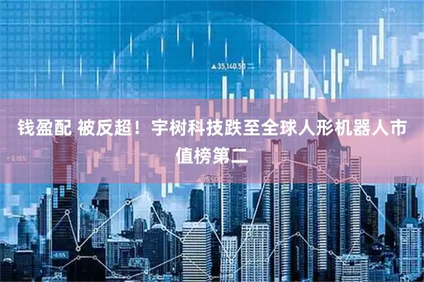钱盈配 被反超！宇树科技跌至全球人形机器人市值榜第二